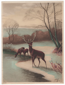 Vintage wildlife print circa 1900-1930s